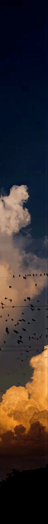 3926695778948007558-3_part_02.gif