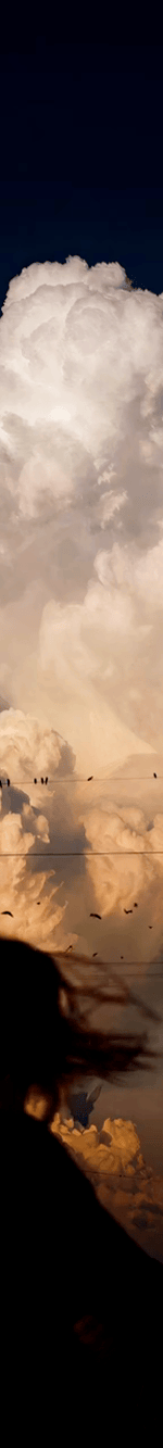 3926695778948007558-3_part_03.gif