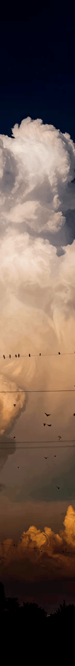 3926695778948007558-3_part_04.gif