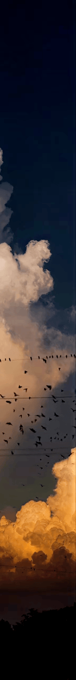 3926695778948007558-3_part_05.gif