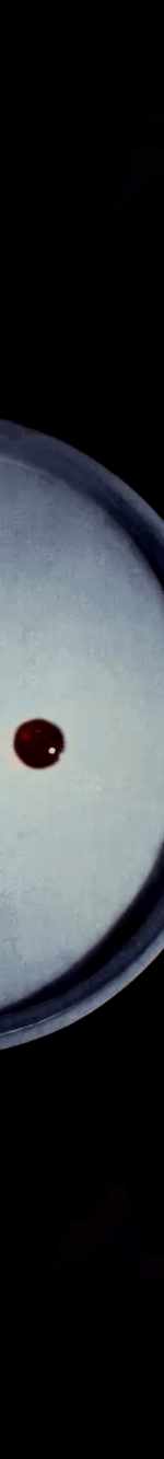 3942420980893384049-3_part_04.gif
