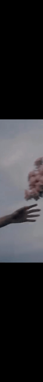 3962756494810210346-4_part_02.gif