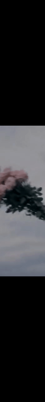 3962756494810210346-4_part_03.gif