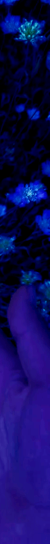 3963645490194781776-3_part_02.gif