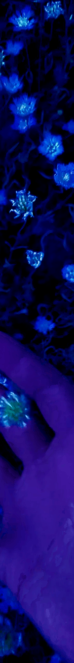 3963645490194781776-3_part_04.gif