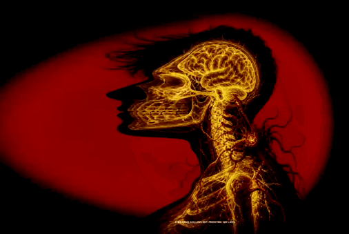 3972346901074502812-3_part_01.gif
