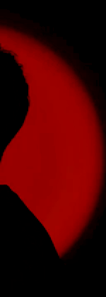 3972346901074502812-3_part_04.gif