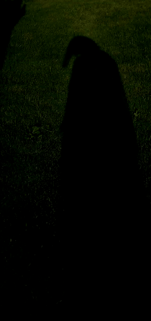 3982453251707832965-3_part_01.gif