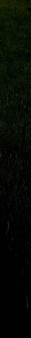 3982453251707832965-3_part_02.gif