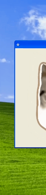 3988330148206161110-3_part_02.gif