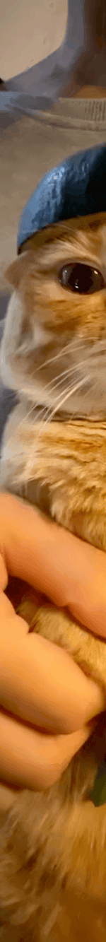 4013257177693549336-3_part_02.gif