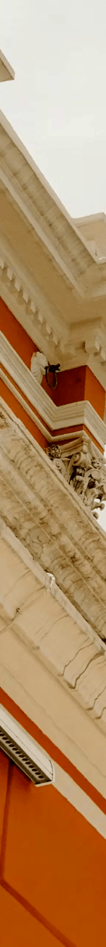 4013569939763269469-3_part_01.gif