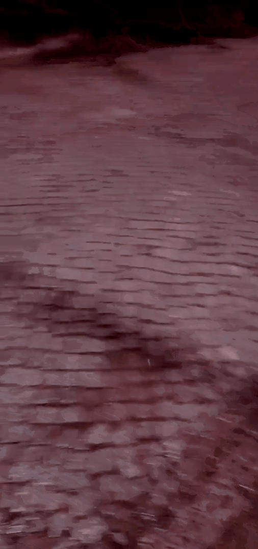tiktok-ZS9PEWEJt_part_01.gif