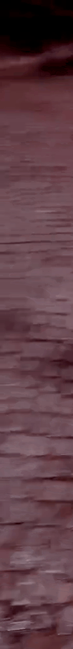 tiktok-ZS9PEWEJt_part_01.gif