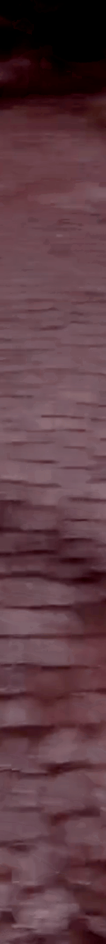 tiktok-ZS9PEWEJt_part_02.gif