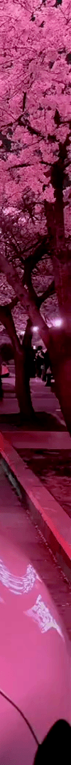 tiktok-ZS9xbJ7VV_part_02.gif