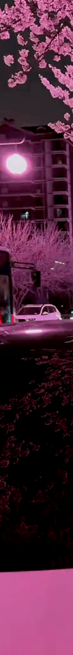 tiktok-ZS9xbJ7VV_part_01.gif
