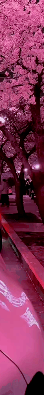 tiktok-ZS9xbJ7VV_part_05.gif