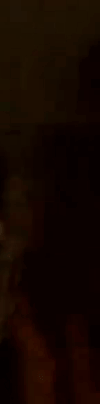 tiktok-ZSuG8o46F_part_02.gif