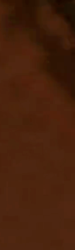 tiktok-ZSuG8o46F_part_02.gif